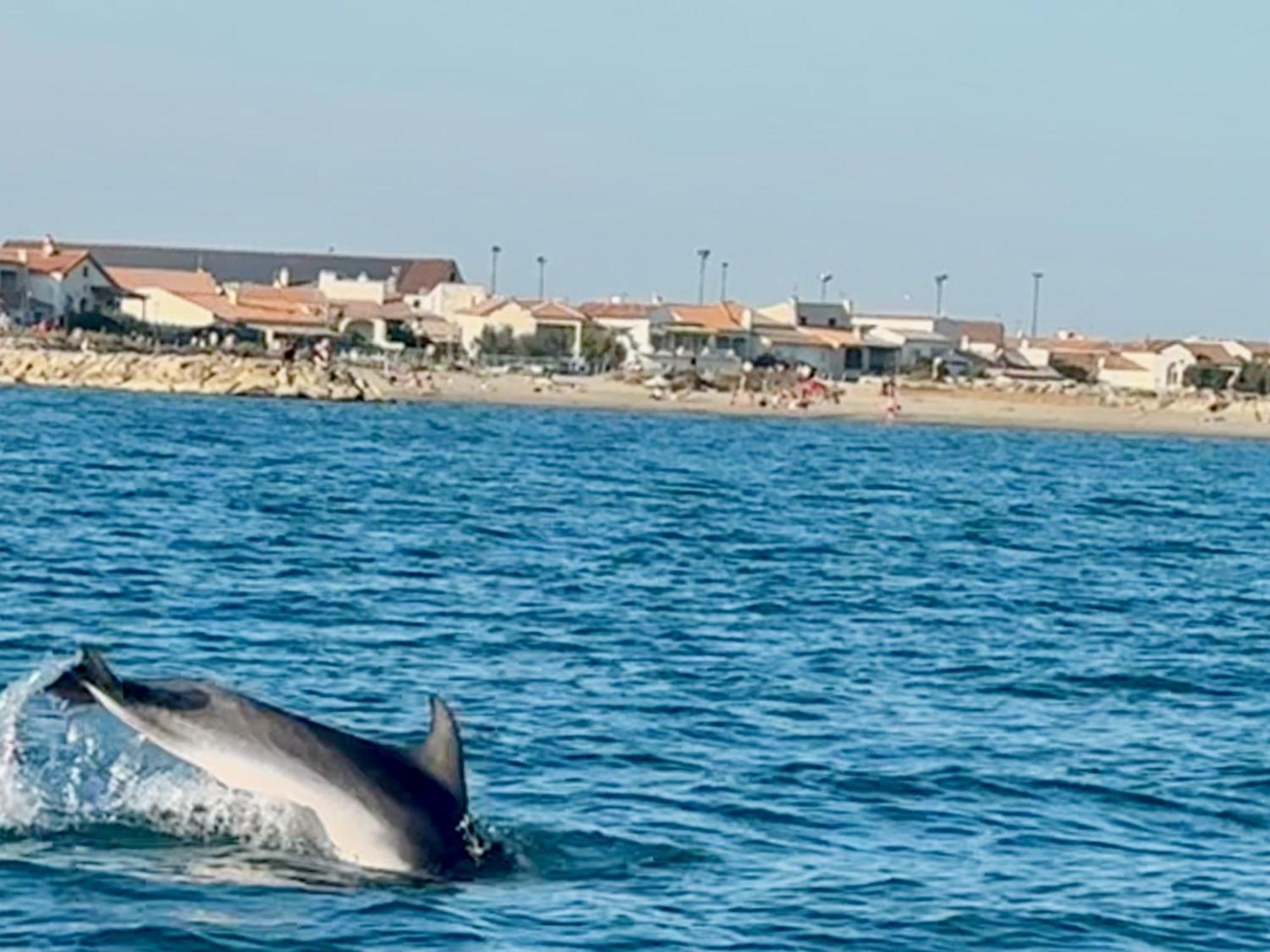 Mas Du Couvin, Maison D'Hotes En Camargue Saintes-Maries-de-la-Mer Buitenkant foto
