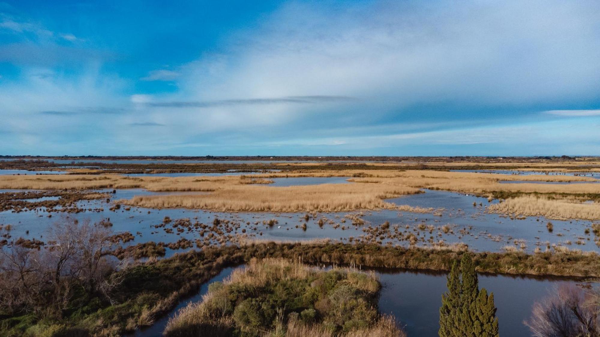 Mas Du Couvin, Maison D'Hotes En Camargue Saintes-Maries-de-la-Mer Buitenkant foto