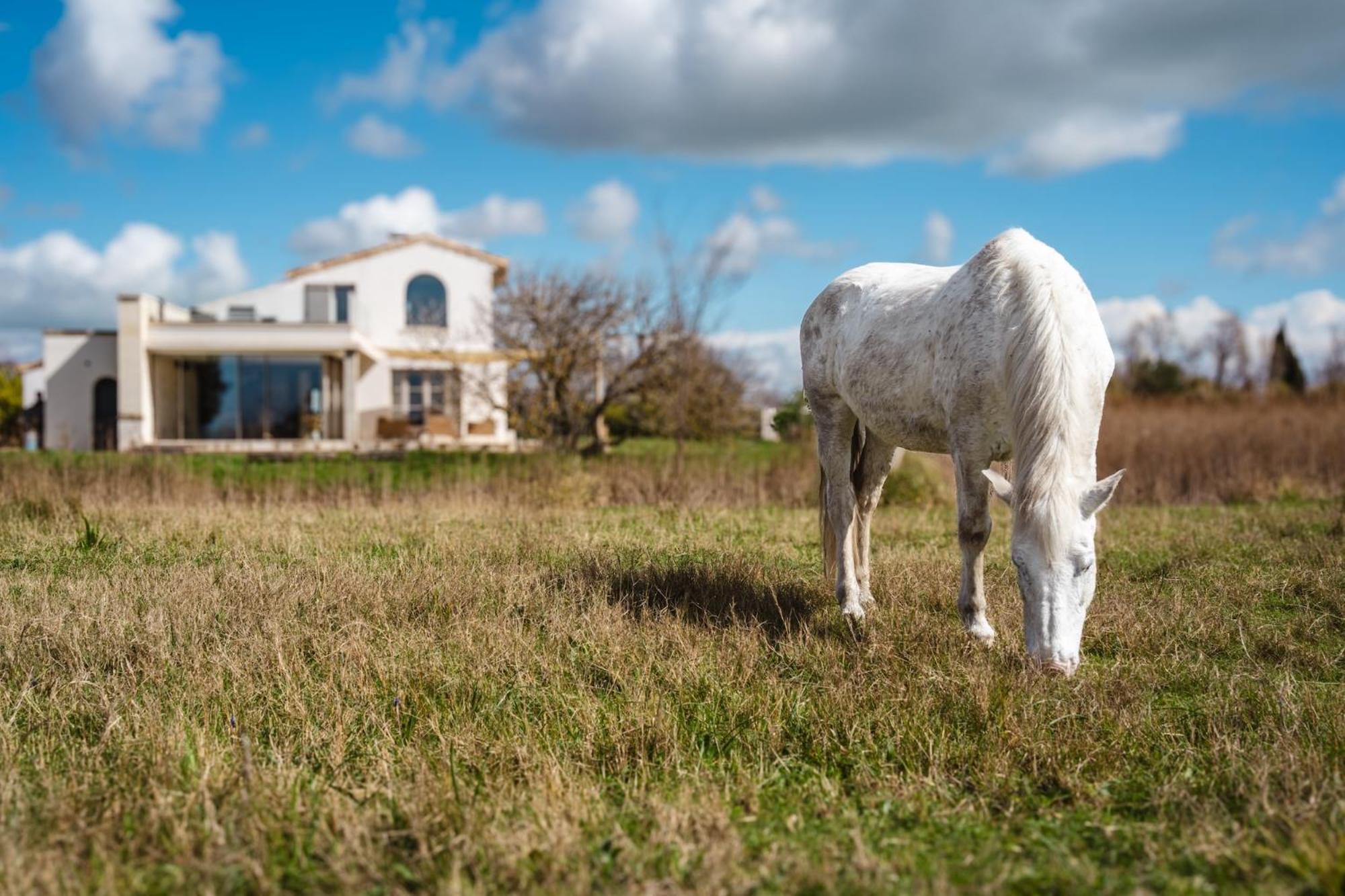 Mas Du Couvin, Maison D'Hotes En Camargue Saintes-Maries-de-la-Mer Buitenkant foto