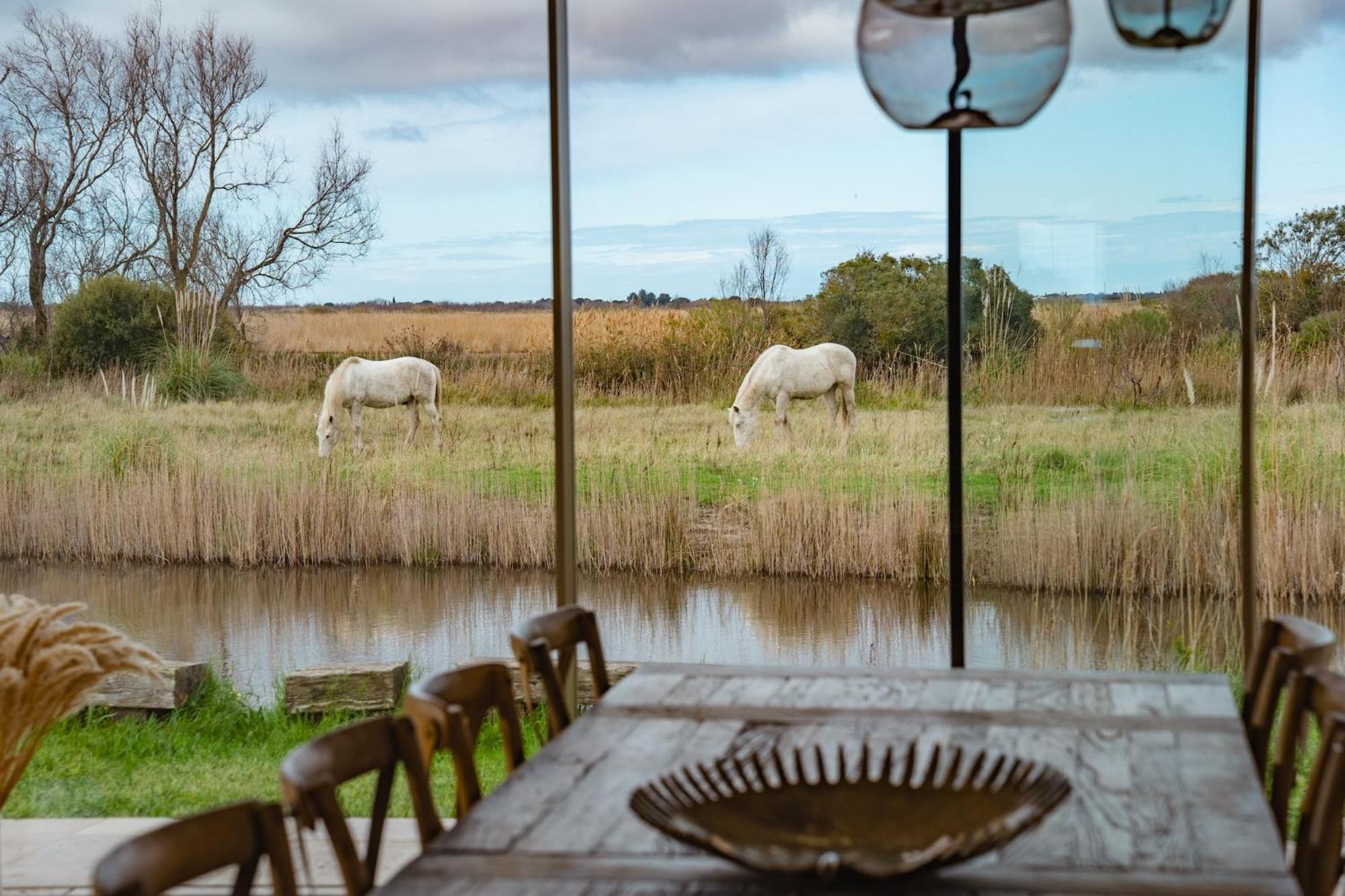 Mas Du Couvin, Maison D'Hotes En Camargue Saintes-Maries-de-la-Mer Buitenkant foto